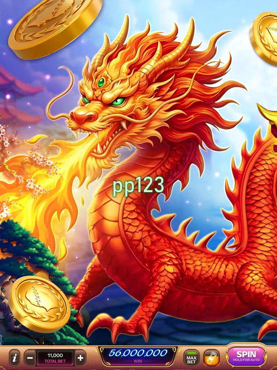 pp123 APK